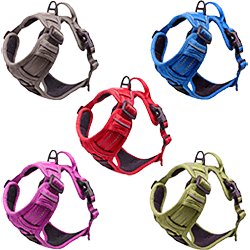 dd-ventture-harnesses