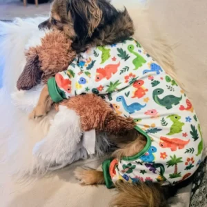 Soft Dog Pajamas - Dinos