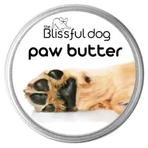 The Blissful Dog Paw Butter – 2 oz Tin