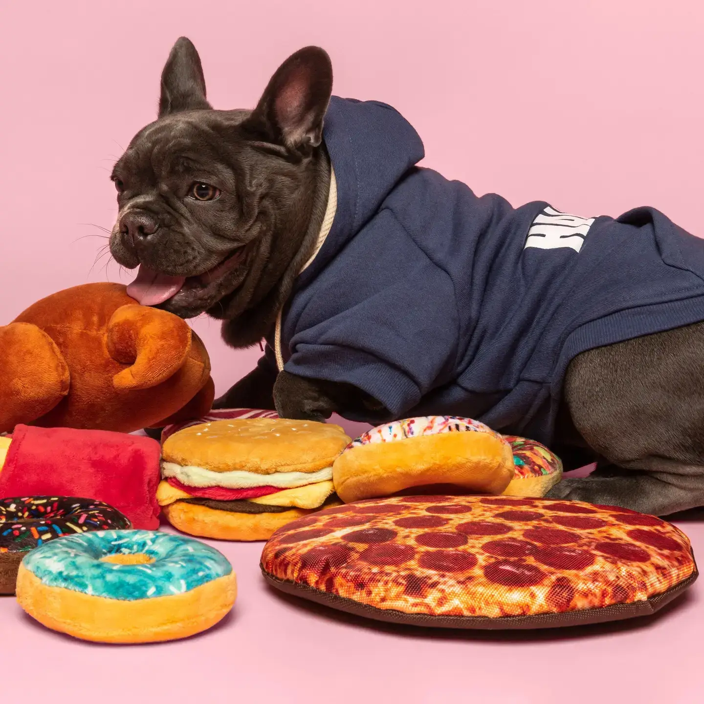 FabDonuts Box of Doughnuts Plush Squeaker Dog Toys – Set of 6 - Image 2