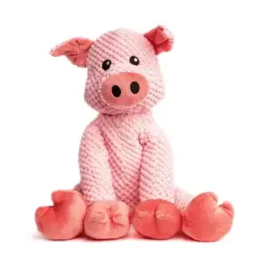 Floppy Pig Plush Squeaker Dog Toy